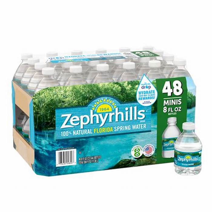 Zephyrhills Spring Water 8 oz 48-Pack