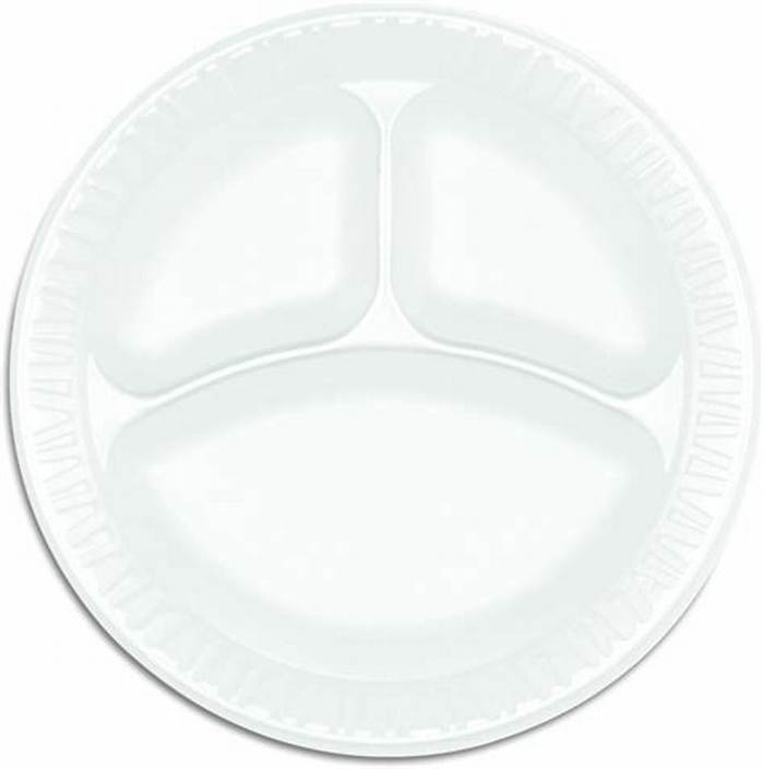 Foam Plate Divided 9" 20-Count 25-Pack