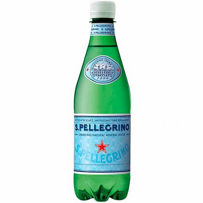 San Pellegrino Plastic Bottle 500 ml 24-Pack