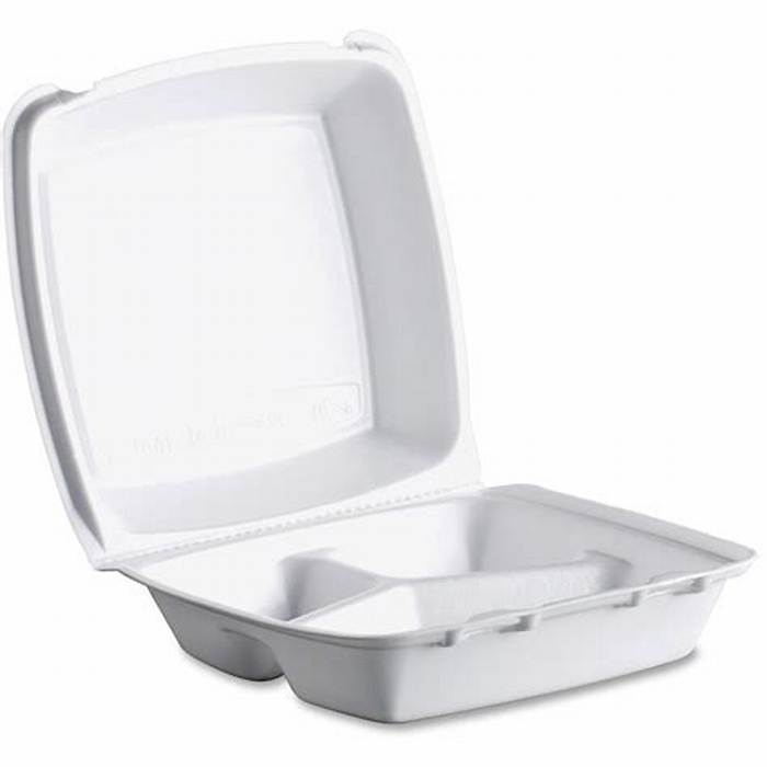 Foam Hinged Lid Takeout Container 200-Count