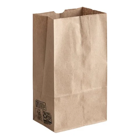 Brown Paper Bag #6 6 lb 500-Count