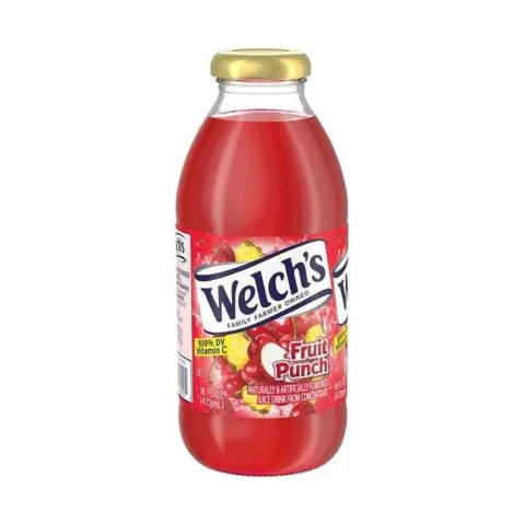 Welch's Fruit Punch 16 oz 12-Pack